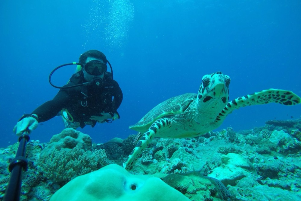 Diving alongside a hawksbill turtle, Palau